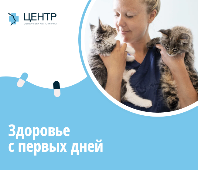 Программы для щенков и котят "Здоровье с первых дней"