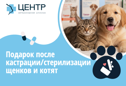 Подарок после кастрации/стерилизации щенков и котят