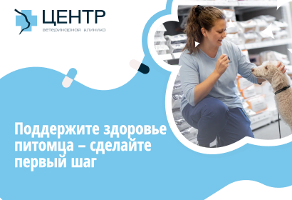 Поддержите здоровье питомца – сделайте первый шаг бесплатно!