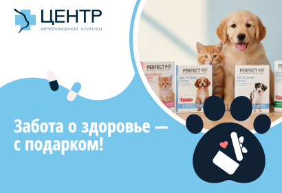 Подарок после вакцинации