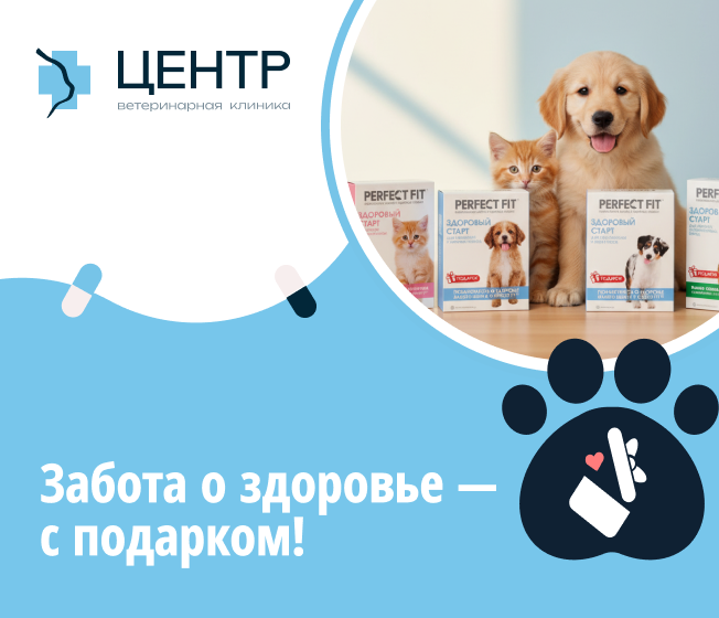 Подарок после вакцинации