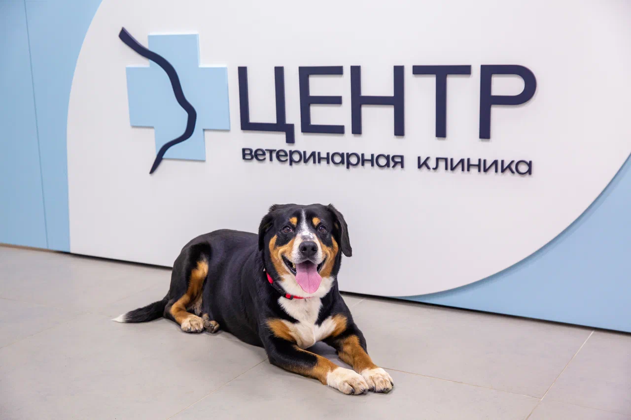 Закрытие филиала Нагатино