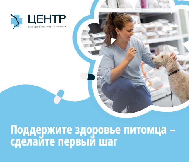Поддержите здоровье питомца – сделайте первый шаг бесплатно!
